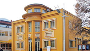 Вуков Дом Културе