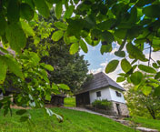 Тршић-Троноша