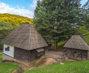 Тршић-Троноша