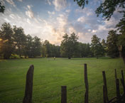 Тршић-Троноша